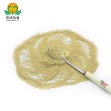 Factory Direct Supply Pure Sophora Japonica Extract Powder Rutin CAS No153-18-4